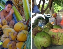 El agua de coco es altamente recomendada para mantener el funcionamiento de los riñones, puesto que incrementa la producción de orina y por ende ayuda a expulsar las toxinas. EL INFORMADOR / NTX / ARCHIVO