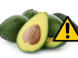 Consultar a un profesional de la salud puede proporcionar orientación adicional sobre la inclusión del aguacate en tu dieta de manera segura y saludable. CANVA