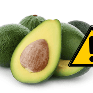 NO consumas aguacate si cumples con alguna de estas 3 características