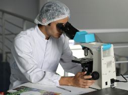 Este modelo es la culminación de varios años de trabajo. UNSPLASH / L. VASQUES