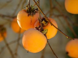 Conoce esta fruta de origen asiático con propiedades muy importantes para el cuerpo humano. UNSPLASH.