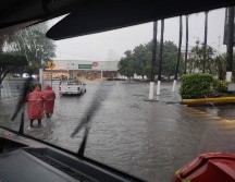 Solo para su publicacion en los medios establecidos por El Informador