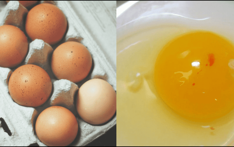 Si has encontrado sangre en la yema de tu huevo ¡tranquilo! No te asustes ni lo deseches; mejor échale un vistazo a esta información. UNSPLASH/ Nik/ ESPECIAL