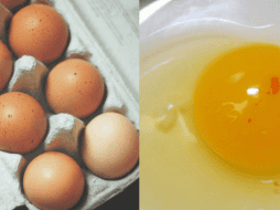 Si has encontrado sangre en la yema de tu huevo ¡tranquilo! No te asustes ni lo deseches; mejor échale un vistazo a esta información. UNSPLASH/ Nik/ ESPECIAL