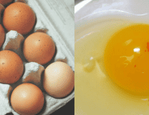 Si has encontrado sangre en la yema de tu huevo ¡tranquilo! No te asustes ni lo deseches; mejor échale un vistazo a esta información. UNSPLASH/ Nik/ ESPECIAL