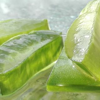 Conoce las propiedades y los beneficios del aloe vera para la salud