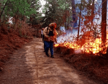Bomberos permanecen realizando labores de enfriamiento y extinción. ESPECIAL