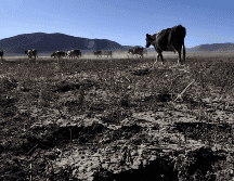 El fuerte fenómeno meteorológico que agregó más calor a las temperaturas mundiales ha desaparecido. EFE / ARCHIVO