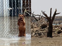 Los efectos del fenómeno 