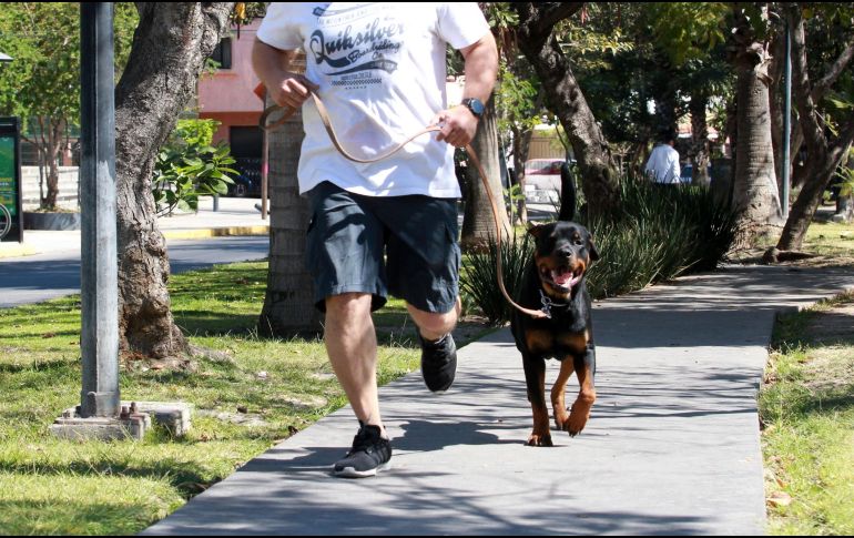 La actividad física regular puede ayudar a mantener un peso saludable y reducir el riesgo de cáncer en varones. EL INFORMADOR / ARCHIVO