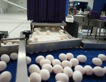 Los volúmenes adicionales de carne de ave y huevo para plato fueron de 106 mil  y 70 mil toneladas, respectivamente.EFE