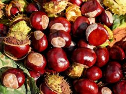 Las castañas son naturalmente libres de gluten, lo que las convierte en una excelente opción para personas con enfermedad celíaca o sensibilidad al gluten. Pixabay