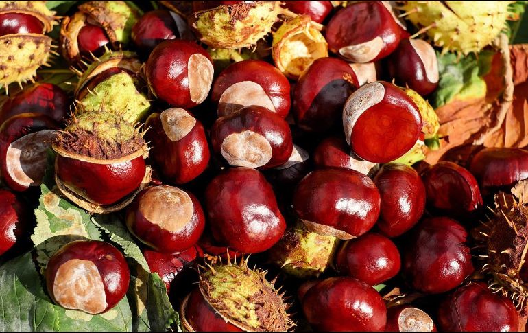 Las castañas son naturalmente libres de gluten, lo que las convierte en una excelente opción para personas con enfermedad celíaca o sensibilidad al gluten. Pixabay