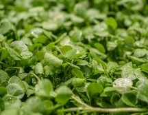 Por su accesibilidad y fácil modo de preparar, es altamente recomendado para incorporar en nuestra alimentación cotidiana. Unsplash