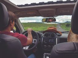 Las aseguradoras están respondiendo con soluciones innovadoras que abordan los desafíos únicos de este modelo de transporte. Con pólizas más flexibles y tecnologías avanzadas, el carsharing se convierte en una opción cada vez más viable y atractiva, ofreciendo una movilidad eficiente y sostenible para las ciudades del futuro. UNSPLASH/Alex Jumper