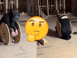 Al parecer este joven creyó que desafiar las leyes naturales era una buena idea. X -TWITTER-/ esdeprofugos