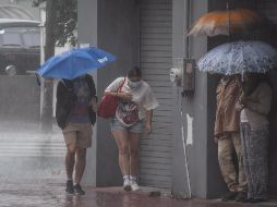 La temporada de lluvia 