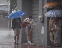 La temporada de lluvia 