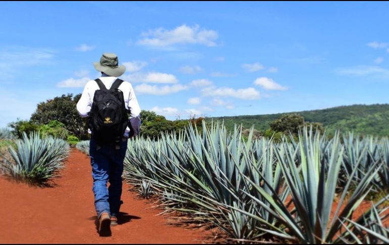 El CRT actúa como Organismo de Certificación, Unidad de Inspección y Laboratorio de Pruebas. ESPECIAL / CRT