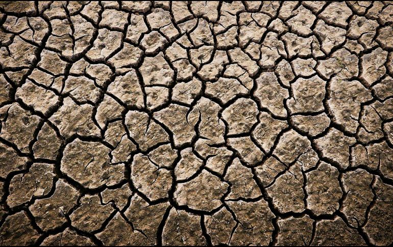 Los datos muestran que desde el 2015 África se está degradando más rápido del promedio mundial.  UNSPLASH / A. Mag