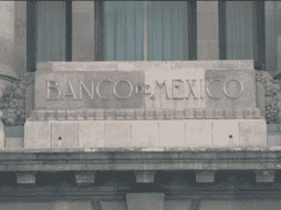 Actualmente hay cinco instituciones involucradas en la plataforma.  EL INFORMADOR/ARCHIVO.