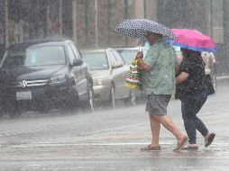 Las autoridades estatales señalaron que ya se habilitaron los albergues en la entidad y que las escuelas también funcionarán como refugio en caso de ser necesario. AP / ARCHIVO