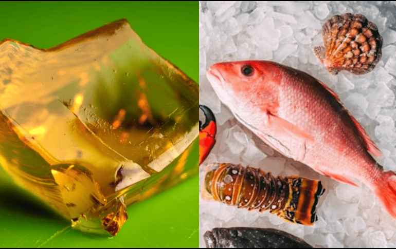 El colágeno es esencial para mantener la elasticidad y firmeza de la piel, así como la salud de las articulaciones y los huesos. UNSPLASH/ 🇻🇪 Jose G. Ortega Castro 🇲🇽/ Mike Bergmann