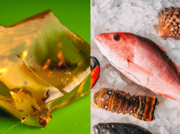 El colágeno es esencial para mantener la elasticidad y firmeza de la piel, así como la salud de las articulaciones y los huesos. UNSPLASH/ 🇻🇪 Jose G. Ortega Castro 🇲🇽/ Mike Bergmann