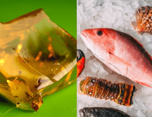 El colágeno es esencial para mantener la elasticidad y firmeza de la piel, así como la salud de las articulaciones y los huesos. UNSPLASH/ 🇻🇪 Jose G. Ortega Castro 🇲🇽/ Mike Bergmann