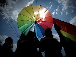 Las manifestaciones se han distribuido en cada municipio a lo largo del 