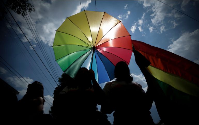 Las manifestaciones se han distribuido en cada municipio a lo largo del 