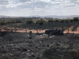 El percance se originó debido a la poca visibilidad causada por un incendio en un pastizal junto a la carretera. CORTESÍA