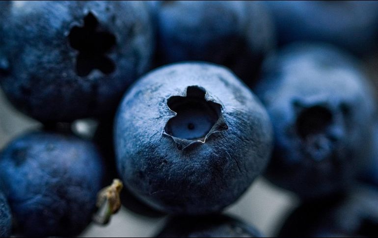 Los arándanos son ricos en antioxidantes que activan las enzimas protectoras del cerebro. Pixabay.