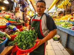 El incremento de los precios del cilantro registrados en Guadalajara tiene su equivalente a nivel nacional. EL INFORMADOR / A. Navarro
