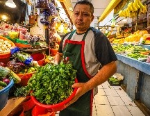 El incremento de los precios del cilantro registrados en Guadalajara tiene su equivalente a nivel nacional. EL INFORMADOR / A. Navarro
