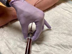 Aquí te presentamos 10 de esos mitos y la verdad detrás de cada uno. AP / ARCHIVO