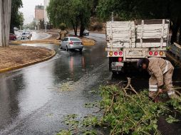 La fuerza del clima ha resultado en la caída de al menos diez árboles y algunos espectaculares en la ciudad capital. X/ @SOP_Zac_.