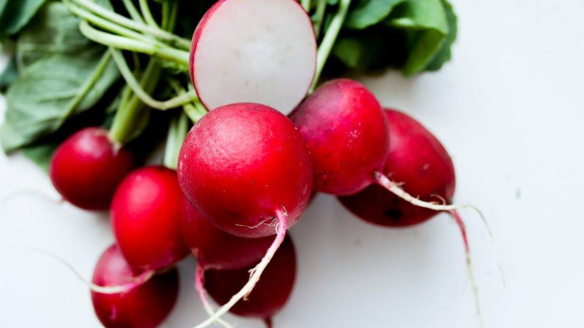Sufres de hipertiroidismo? ¡Consumir rábanos te ayudará a controlarlo! | El Informador