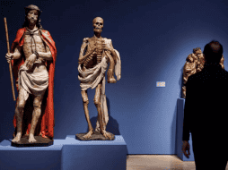 El análisis de microestructura ósea de los restos de cuatro individuos de una familia romana encontrados en la Domus Tiberiana. EFE/ ARCHIVO