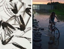 La Secretaría de Salud (SSa) federal registró 17 mil 016 casos de dengue confirmados en las primeras 24 semanas del año, por encima de las 3 mil 505 en el mismo lapso de 2023. AP / ARCHIVO