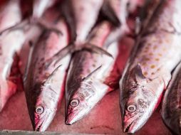 Los pescados de pequeño tamaño son destacados por su impacto positivo en la salud. EL INFORMADOR / ARCHIVO