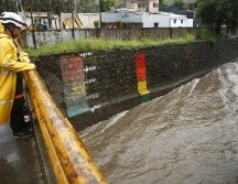 Las autoridades advirtieron que se mantiene la probabilidad muy alta, entre el 80 y 100% de caídas de árboles. EFE / ARCHIVO