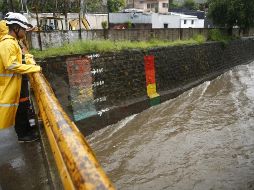 Las autoridades advirtieron que se mantiene la probabilidad muy alta, entre el 80 y 100% de caídas de árboles. EFE / ARCHIVO