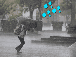 La probabilidad de lluvia para este viernes es más alto a partir de las 20:00 horas de este viernes. EL INFORMADOR / ARCHIVO