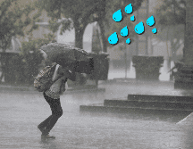 La probabilidad de lluvia para este viernes es más alto a partir de las 20:00 horas de este viernes. EL INFORMADOR / ARCHIVO