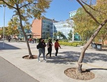 Alumnas de la UdeG caminan por andador del Centro Universitario de Ciencias Sociales y Humanidades (CUCSH) sede Belenes. EL INFORMADOR / ARCHIVO