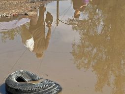 La llegada del verano y la temporada de huracanes representan un desafío adicional en la lucha contra el dengue en México. EFE / J. Méndez
