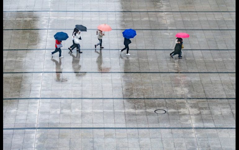 La Comisión Nacional del Agua (Conagua) y el SMN continuarán proporcionando actualizaciones sobre el ciclón Beryl. Pixabay