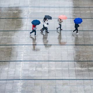 Ciclón Beryl: ¿Qué estados podría afectar?