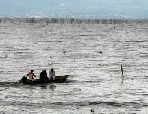 Chapala es el lago más grande de México, y una de las principales fuentes de agua para Guadalajara. EL INFORMADOR/ ARCHIVO